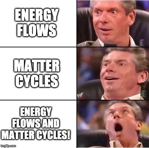 Vince McMahon reaction | ENERGY FLOWS; MATTER CYCLES; ENERGY FLOWS AND MATTER CYCLES! | image tagged in vince mcmahon reaction | made w/ Imgflip meme maker