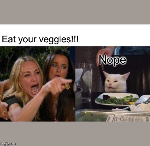 Woman Yelling At Cat | Eat your veggies!!! Nope | image tagged in memes,woman yelling at cat | made w/ Imgflip meme maker