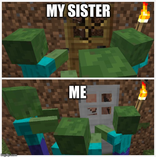 wooden door vs iron door | MY SISTER; ME | image tagged in wooden door vs iron door | made w/ Imgflip meme maker