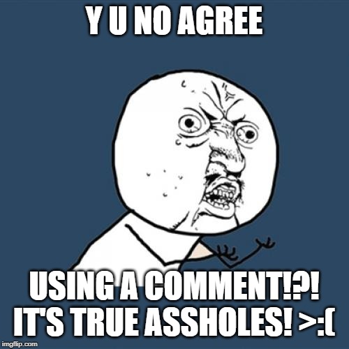 Y U No Meme | Y U NO AGREE USING A COMMENT!?! IT'S TRUE ASSHOLES! >:( | image tagged in memes,y u no | made w/ Imgflip meme maker