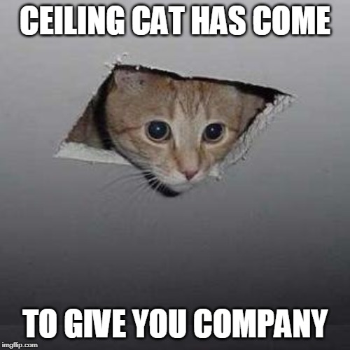 Ceiling Cat | CEILING CAT HAS COME; TO GIVE YOU COMPANY | image tagged in memes,ceiling cat | made w/ Imgflip meme maker