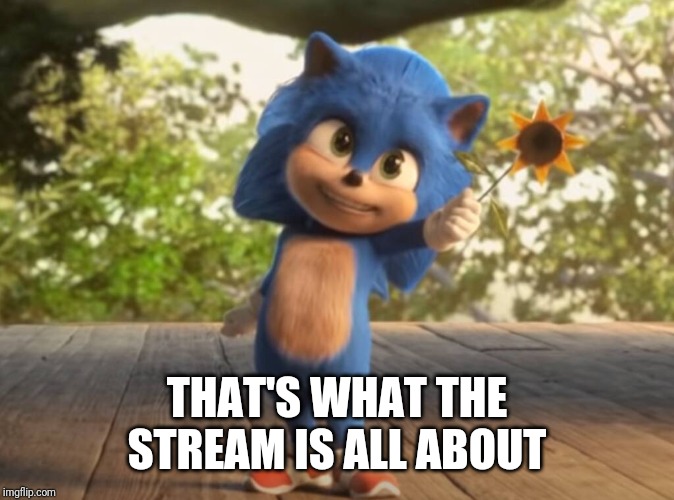 Baby Sonic | THAT'S WHAT THE STREAM IS ALL ABOUT | image tagged in baby sonic | made w/ Imgflip meme maker