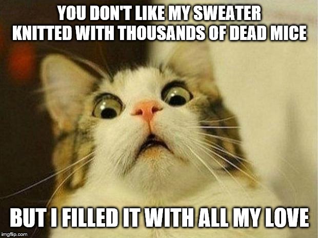 Scared Cat Meme | YOU DON'T LIKE MY SWEATER KNITTED WITH THOUSANDS OF DEAD MICE BUT I FILLED IT WITH ALL MY LOVE | image tagged in memes,scared cat | made w/ Imgflip meme maker