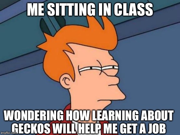 Futurama Fry Meme | ME SITTING IN CLASS; WONDERING HOW LEARNING ABOUT GECKOS WILL HELP ME GET A JOB | image tagged in memes,futurama fry | made w/ Imgflip meme maker