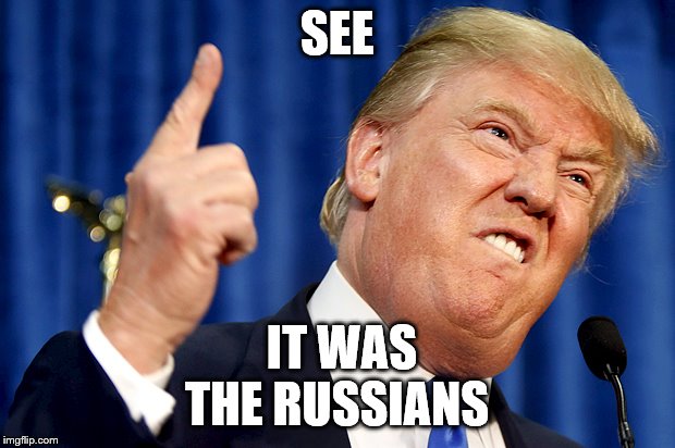 Donald Trump | SEE; IT WAS THE RUSSIANS | image tagged in donald trump | made w/ Imgflip meme maker