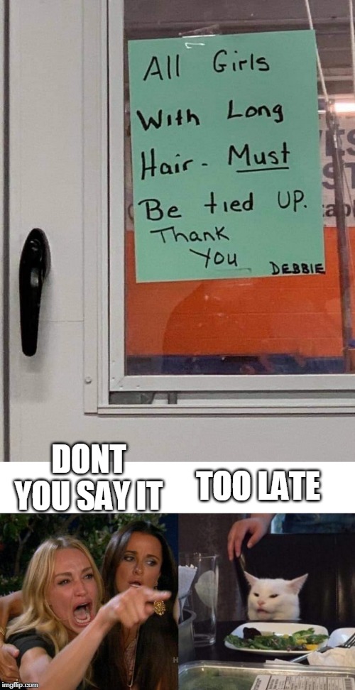 THE SIGN ALREADY SAID IT | DONT YOU SAY IT; TOO LATE | image tagged in memes,woman yelling at cat | made w/ Imgflip meme maker