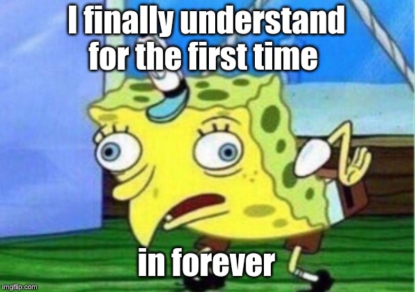 Mocking Spongebob Meme | I finally understand for the first time in forever | image tagged in memes,mocking spongebob | made w/ Imgflip meme maker