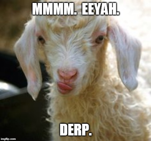 Derp Goat | MMMM.  EEYAH. DERP. | image tagged in derp goat | made w/ Imgflip meme maker