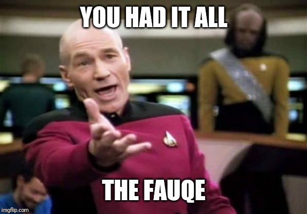 Picard Wtf | YOU HAD IT ALL; THE FAUQE | image tagged in memes,picard wtf | made w/ Imgflip meme maker