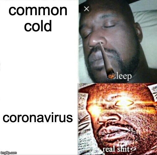 Sleeping Shaq Meme | common cold; coronavirus | image tagged in memes,sleeping shaq | made w/ Imgflip meme maker