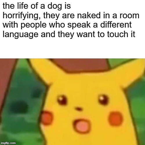Surprised Pikachu | the life of a dog is horrifying, they are naked in a room with people who speak a different language and they want to touch it | image tagged in memes,surprised pikachu | made w/ Imgflip meme maker