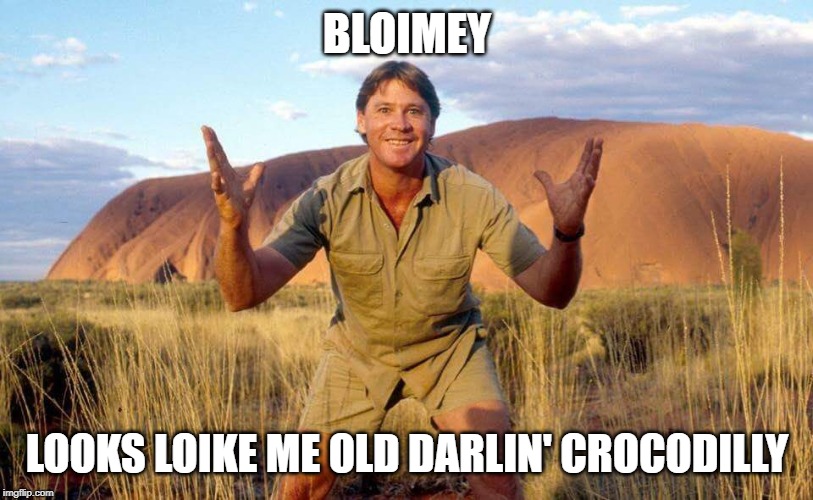 Steve Irwin Crocodile Hunter  | BLOIMEY LOOKS LOIKE ME OLD DARLIN' CROCODILLY | image tagged in steve irwin crocodile hunter | made w/ Imgflip meme maker