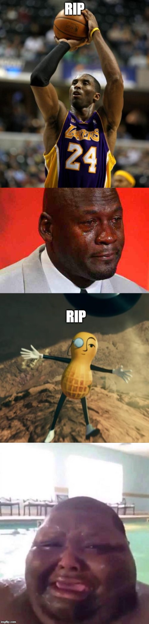  RIP; RIP | image tagged in memes,kobe,crying michael jordan,fat man crys,mr peanut's death | made w/ Imgflip meme maker