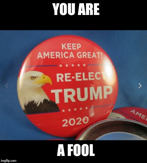 YOU ARE A FOOL | made w/ Imgflip meme maker