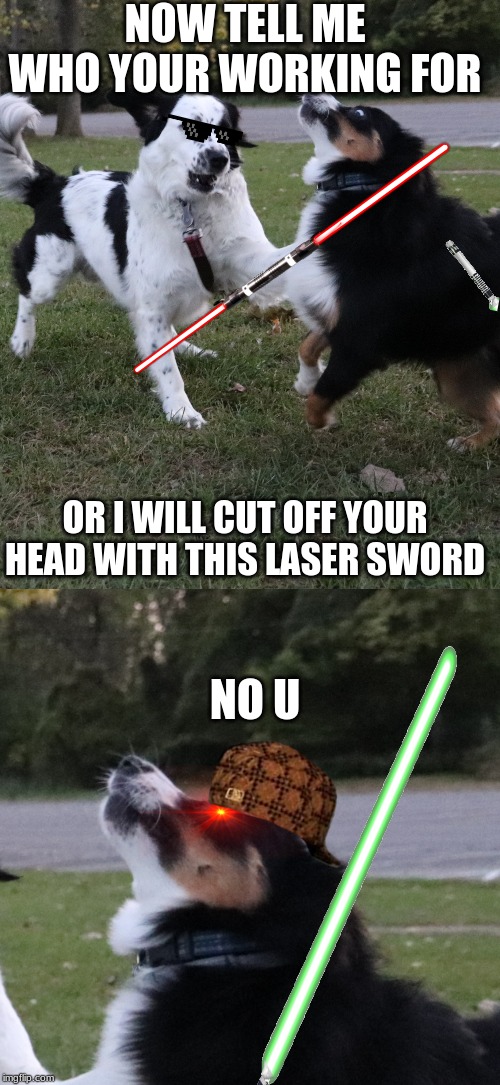 NOW TELL ME WHO YOUR WORKING FOR; OR I WILL CUT OFF YOUR HEAD WITH THIS LASER SWORD; NO U | image tagged in dog fight | made w/ Imgflip meme maker