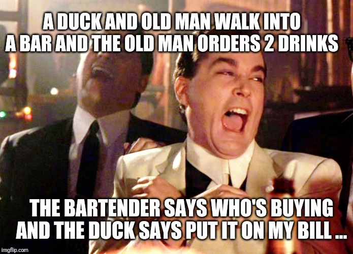 Good Fellas Hilarious | A DUCK AND OLD MAN WALK INTO A BAR AND THE OLD MAN ORDERS 2 DRINKS; THE BARTENDER SAYS WHO'S BUYING AND THE DUCK SAYS PUT IT ON MY BILL ... | image tagged in memes,good fellas hilarious | made w/ Imgflip meme maker