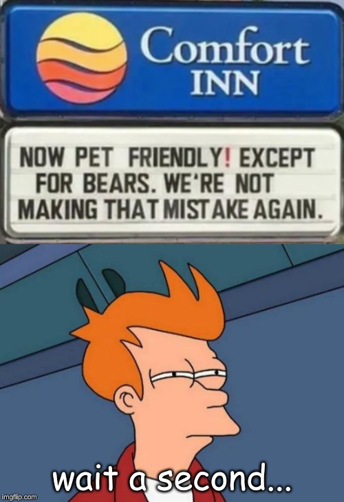 Enjoy your stay with a nice big Bear to suit your every need... | wait a second... | image tagged in memes,futurama fry,bears,funny,animals | made w/ Imgflip meme maker