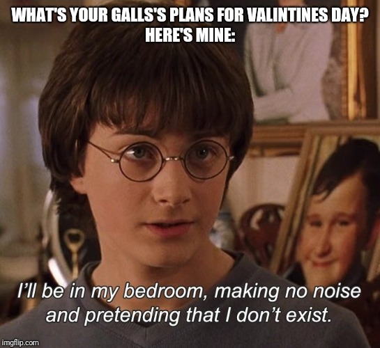 Harry Potter | WHAT'S YOUR GALLS'S PLANS FOR VALINTINES DAY?
HERE'S MINE: | image tagged in harry potter | made w/ Imgflip meme maker
