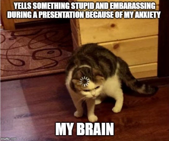 Loading Cat HD | YELLS SOMETHING STUPID AND EMBARRASSING DURING A PRESENTATION BECAUSE OF MY ANXIETY; MY BRAIN | image tagged in loading cat hd | made w/ Imgflip meme maker