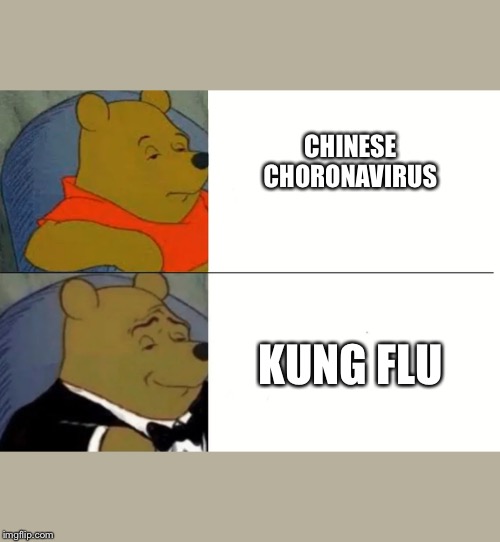 Fancy Winnie The Pooh Meme | CHINESE CHORONAVIRUS; KUNG FLU | image tagged in fancy winnie the pooh meme | made w/ Imgflip meme maker