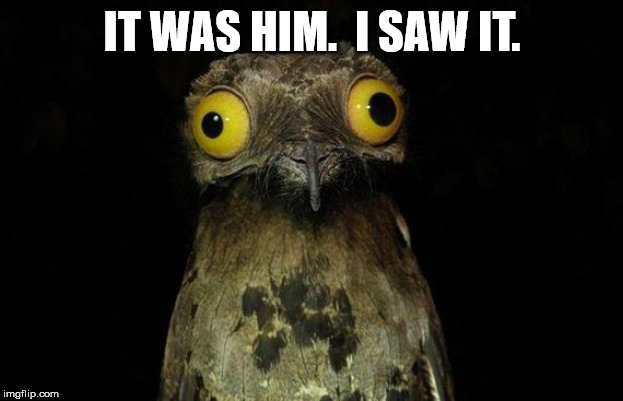 Weird Stuff I Do Potoo Meme | IT WAS HIM.  I SAW IT. | image tagged in memes,weird stuff i do potoo | made w/ Imgflip meme maker