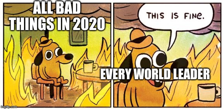 This Is Fine Meme | ALL BAD THINGS IN 2020; EVERY WORLD LEADER | image tagged in this is fine dog | made w/ Imgflip meme maker