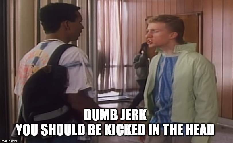 Degrassi High | DUMB JERK 
YOU SHOULD BE KICKED IN THE HEAD | image tagged in degrassi high,shane,acid,luke | made w/ Imgflip meme maker