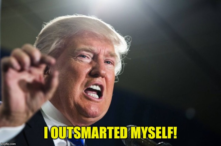 donald trump | I OUTSMARTED MYSELF! | image tagged in donald trump | made w/ Imgflip meme maker