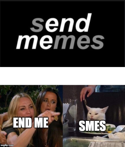 SMES; END ME | image tagged in memes,woman yelling at cat | made w/ Imgflip meme maker