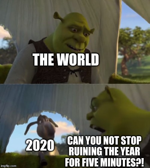 Could you not ___ for 5 MINUTES | THE WORLD; 2020; CAN YOU NOT STOP RUINING THE YEAR FOR FIVE MINUTES?! | image tagged in could you not ___ for 5 minutes | made w/ Imgflip meme maker