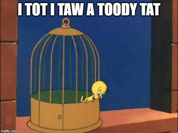 I TOT I TAW A TOODY TAT | made w/ Imgflip meme maker