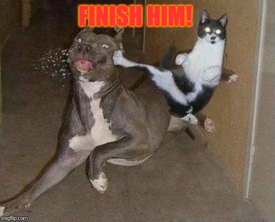 Cat Kicking Dog | FINISH HIM! | image tagged in cat kicking dog | made w/ Imgflip meme maker