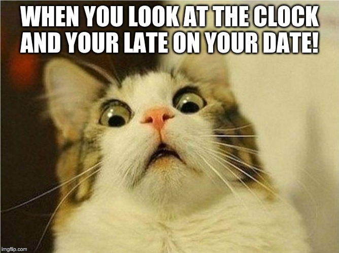 Suprised Cat | WHEN YOU LOOK AT THE CLOCK AND YOUR LATE ON YOUR DATE! | image tagged in suprised cat | made w/ Imgflip meme maker