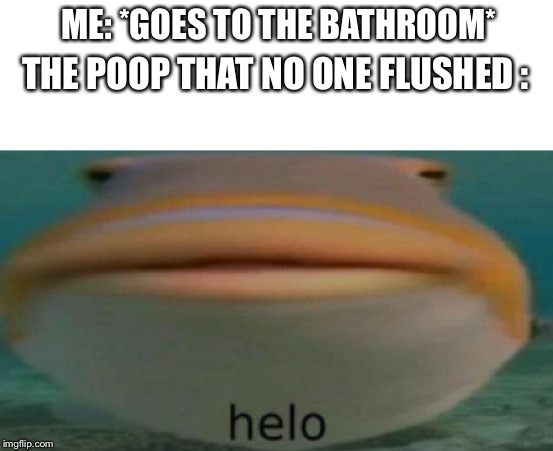 helo | ME: *GOES TO THE BATHROOM*; THE POOP THAT NO ONE FLUSHED : | image tagged in helo | made w/ Imgflip meme maker