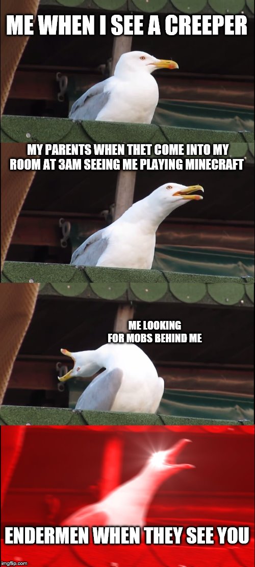 Inhaling Seagull | ME WHEN I SEE A CREEPER; MY PARENTS WHEN THET COME INTO MY ROOM AT 3AM SEEING ME PLAYING MINECRAFT; ME LOOKING FOR MOBS BEHIND ME; ENDERMEN WHEN THEY SEE YOU | image tagged in memes,inhaling seagull | made w/ Imgflip meme maker