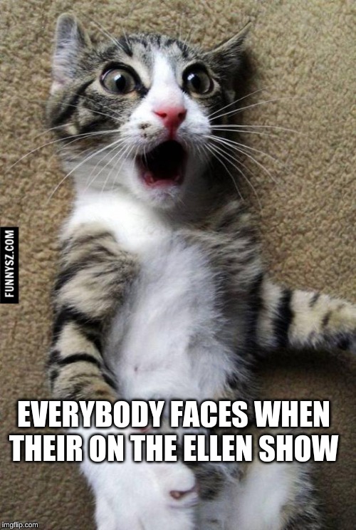Suprised Cat | EVERYBODY FACES WHEN THEIR ON THE ELLEN SHOW | image tagged in suprised cat | made w/ Imgflip meme maker