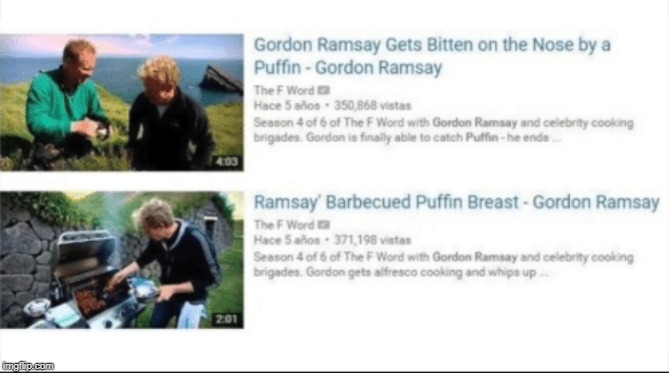 That Unlucky Puffin.... | image tagged in chef gordon ramsay,angry chef gordon ramsay | made w/ Imgflip meme maker