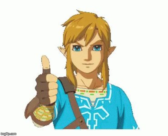 Link Thumbs Up | image tagged in link thumbs up | made w/ Imgflip meme maker