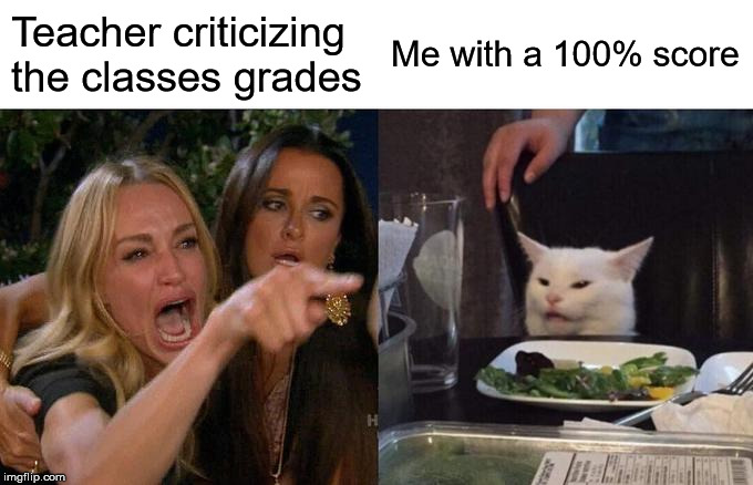 Woman Yelling At Cat Meme | Teacher criticizing the classes grades; Me with a 100% score | image tagged in memes,woman yelling at cat | made w/ Imgflip meme maker