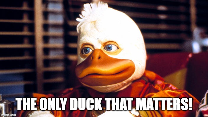 Howard the Duck | THE ONLY DUCK THAT MATTERS! | image tagged in howard the duck | made w/ Imgflip meme maker