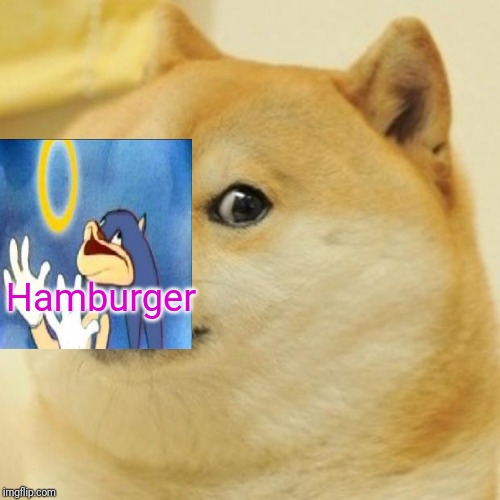 Doge | Hamburger | image tagged in memes,doge | made w/ Imgflip meme maker