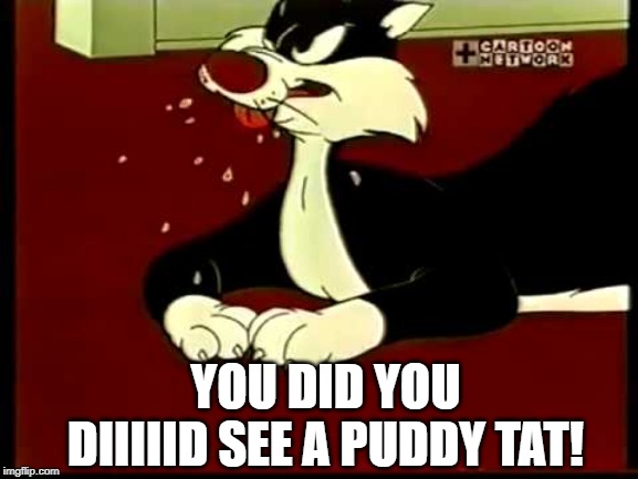 Sylvester Cat | YOU DID YOU DIIIIID SEE A PUDDY TAT! | image tagged in sylvester cat | made w/ Imgflip meme maker