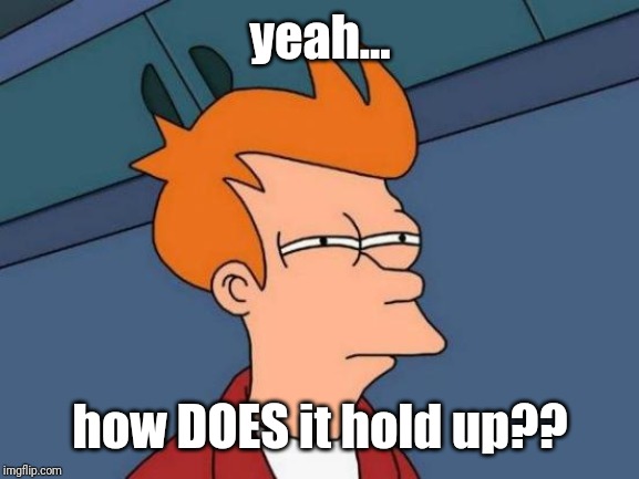 Futurama Fry Meme | yeah... how DOES it hold up?? | image tagged in memes,futurama fry | made w/ Imgflip meme maker
