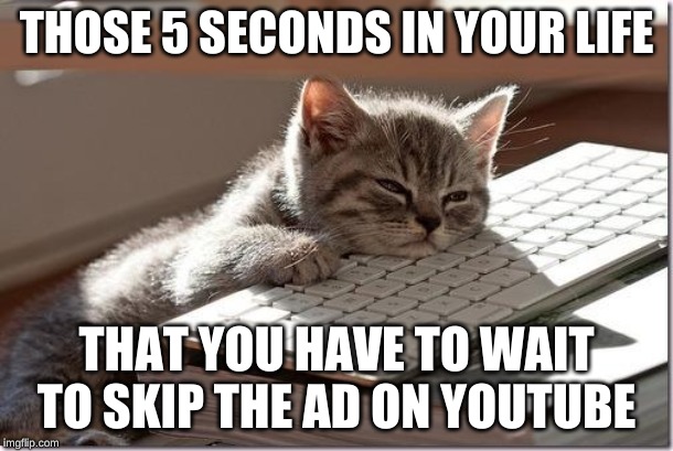 Bored Keyboard Cat | THOSE 5 SECONDS IN YOUR LIFE; THAT YOU HAVE TO WAIT TO SKIP THE AD ON YOUTUBE | image tagged in bored keyboard cat | made w/ Imgflip meme maker
