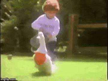 image tagged in gifs | made w/ Imgflip video-to-gif maker