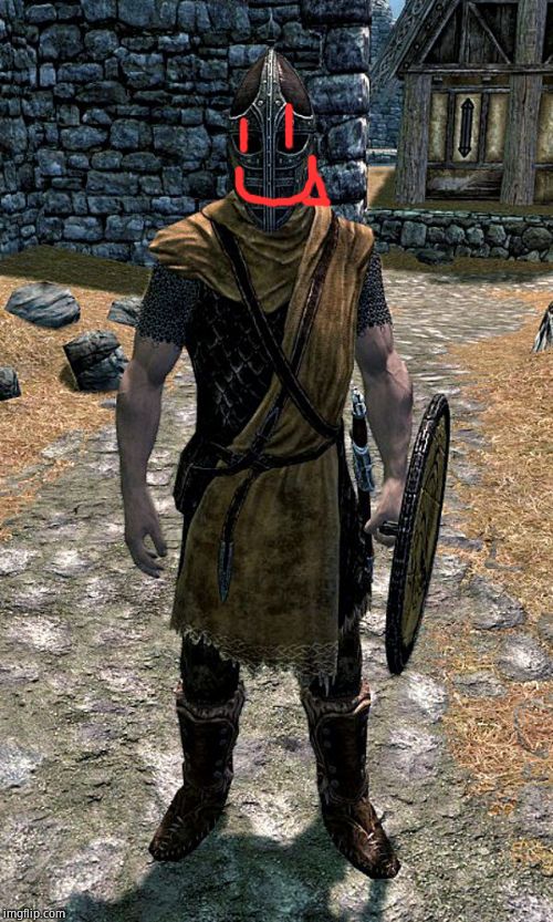 Skyrim Guard | image tagged in skyrim guard | made w/ Imgflip meme maker