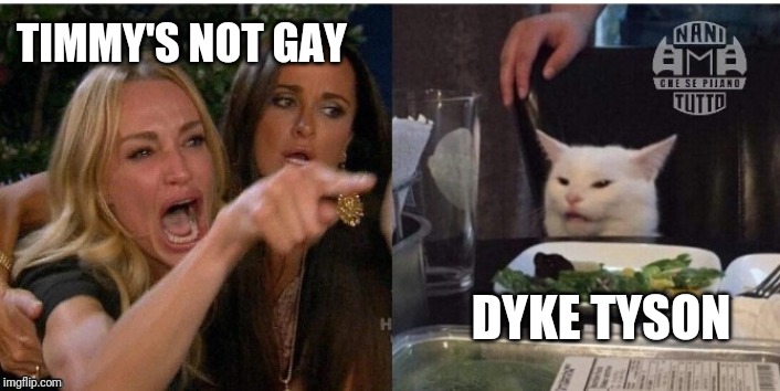 white cat table | TIMMY'S NOT GAY; DYKE TYSON | image tagged in white cat table | made w/ Imgflip meme maker