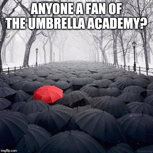 red umbrella  | ANYONE A FAN OF THE UMBRELLA ACADEMY? | image tagged in red umbrella | made w/ Imgflip meme maker