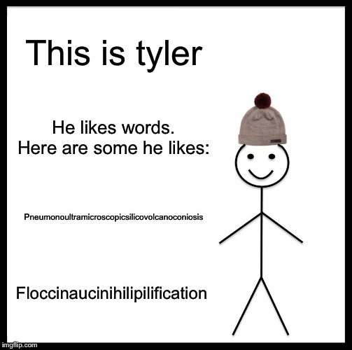 Be Like Bill Meme | This is tyler; He likes words. Here are some he likes:; Pneumonoultramicroscopicsilicovolcanoconiosis; Floccinaucinihilipilification | image tagged in memes,be like bill | made w/ Imgflip meme maker