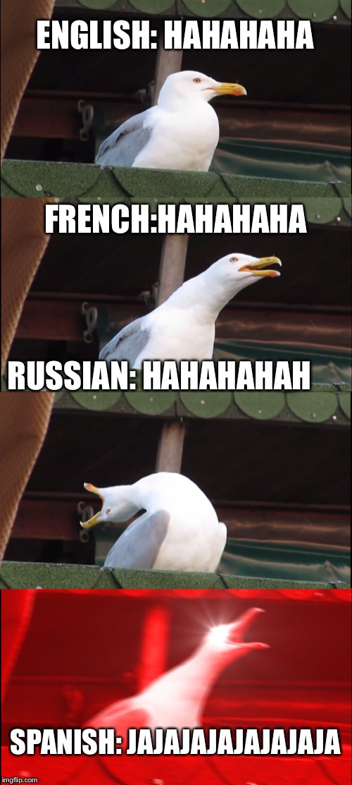 Inhaling Seagull Meme | ENGLISH: HAHAHAHA; FRENCH:HAHAHAHA; RUSSIAN: HAHAHAHAH; SPANISH: JAJAJAJAJAJAJAJA | image tagged in memes,inhaling seagull | made w/ Imgflip meme maker